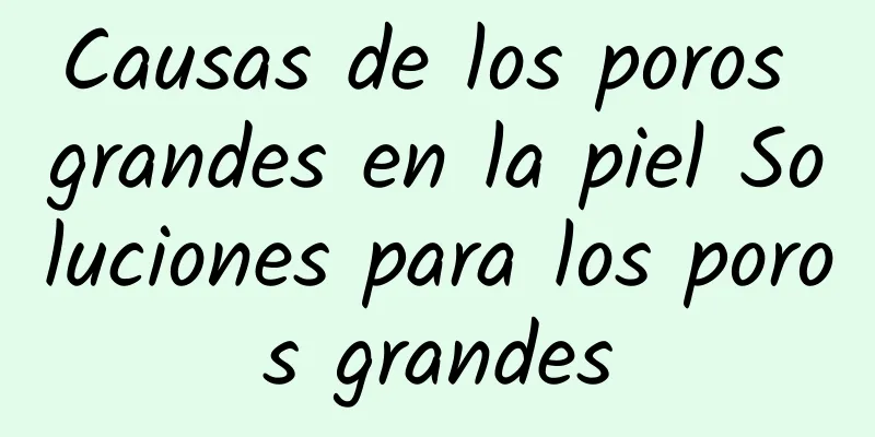 Causas de los poros grandes en la piel Soluciones para los poros grandes