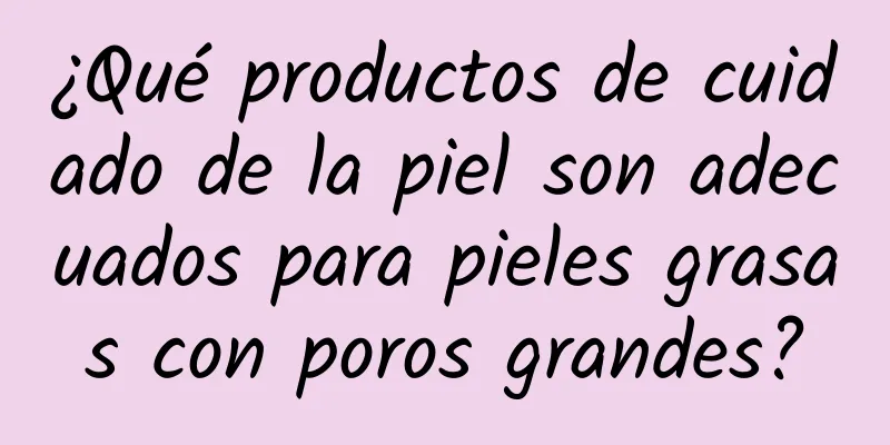 ¿Qué productos de cuidado de la piel son adecuados para pieles grasas con poros grandes?