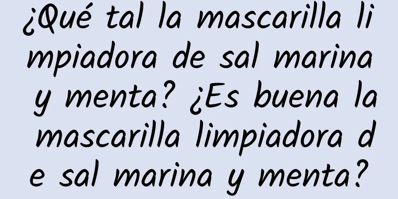 ¿Qué tal la mascarilla limpiadora de sal marina y menta? ¿Es buena la mascarilla limpiadora de sal marina y menta?