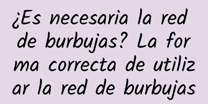 ¿Es necesaria la red de burbujas? La forma correcta de utilizar la red de burbujas