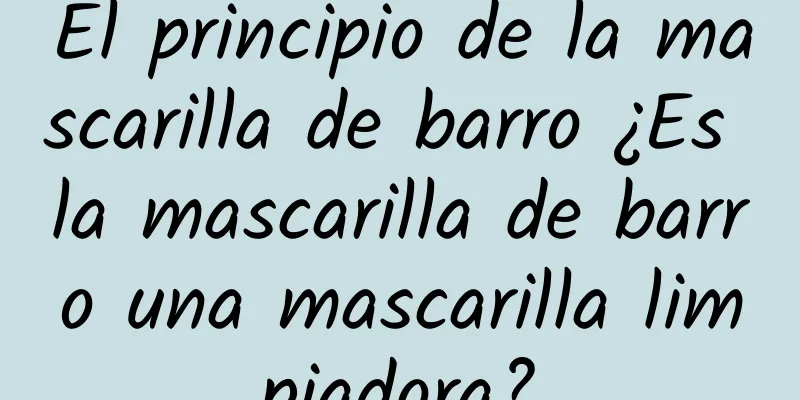 El principio de la mascarilla de barro ¿Es la mascarilla de barro una mascarilla limpiadora?