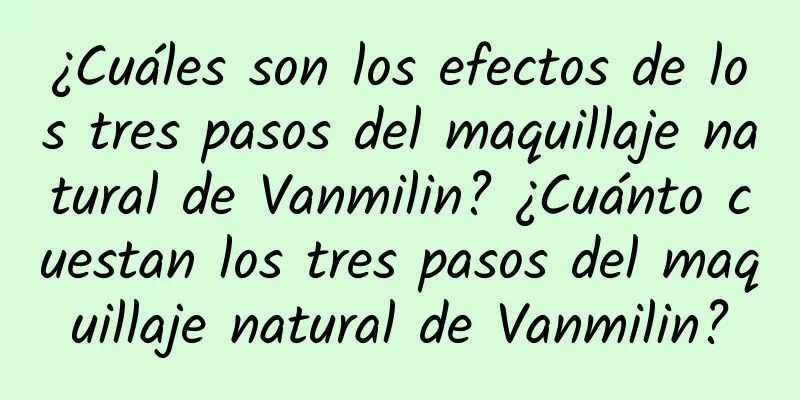 ¿Cuáles son los efectos de los tres pasos del maquillaje natural de Vanmilin? ¿Cuánto cuestan los tres pasos del maquillaje natural de Vanmilin?