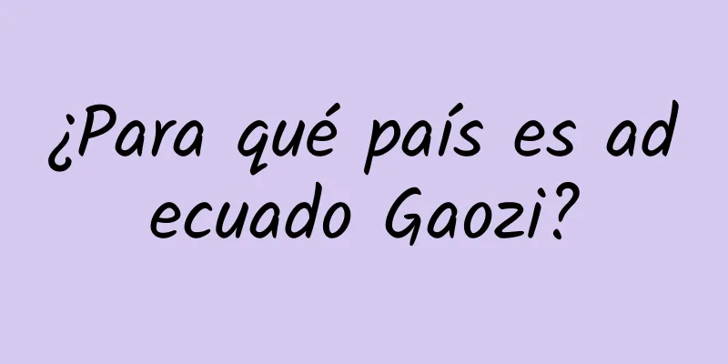 ¿Para qué país es adecuado Gaozi?