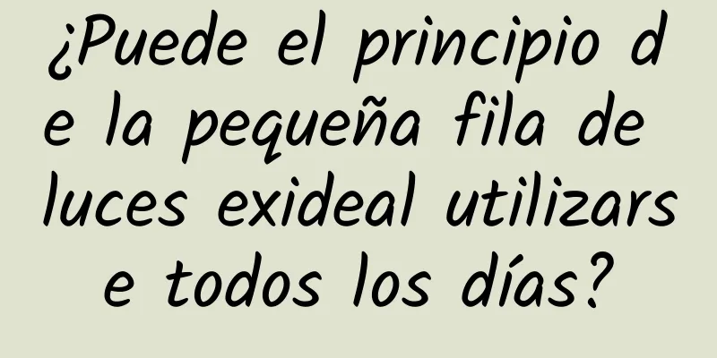 ¿Puede el principio de la pequeña fila de luces exideal utilizarse todos los días?