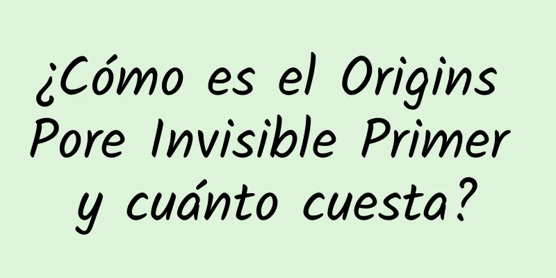 ¿Cómo es el Origins Pore Invisible Primer y cuánto cuesta?