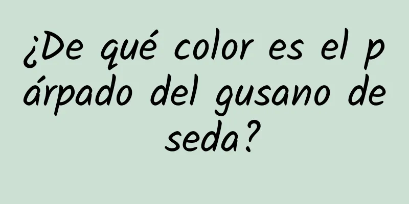 ¿De qué color es el párpado del gusano de seda?