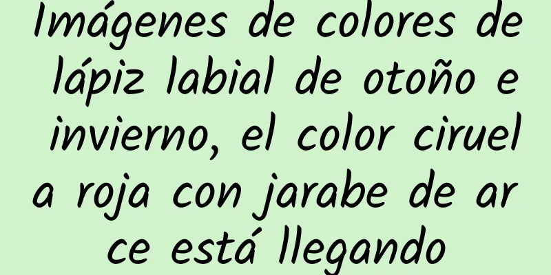 Imágenes de colores de lápiz labial de otoño e invierno, el color ciruela roja con jarabe de arce está llegando