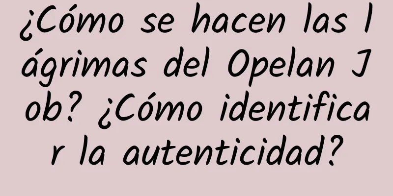 ¿Cómo se hacen las lágrimas del Opelan Job? ¿Cómo identificar la autenticidad?