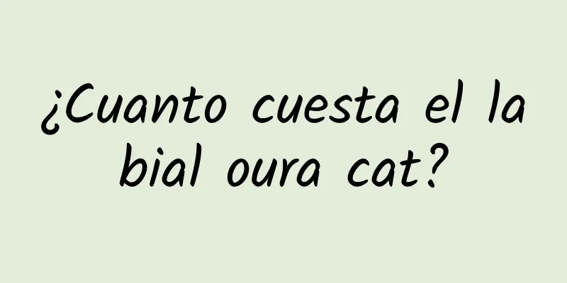 ¿Cuanto cuesta el labial oura cat?