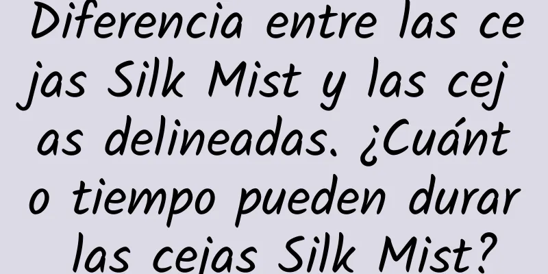 Diferencia entre las cejas Silk Mist y las cejas delineadas. ¿Cuánto tiempo pueden durar las cejas Silk Mist?