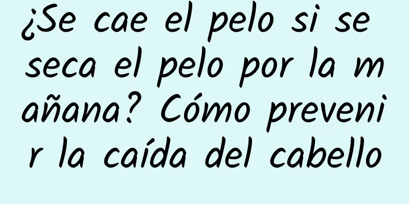 ¿Se cae el pelo si se seca el pelo por la mañana? Cómo prevenir la caída del cabello