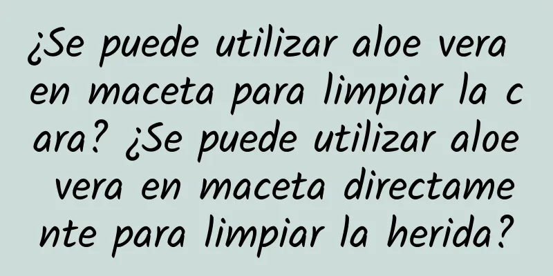 ¿Se puede utilizar aloe vera en maceta para limpiar la cara? ¿Se puede utilizar aloe vera en maceta directamente para limpiar la herida?