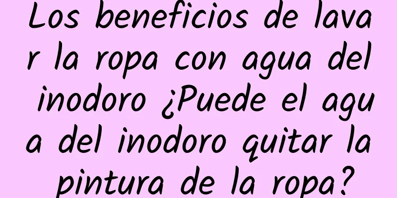 Los beneficios de lavar la ropa con agua del inodoro ¿Puede el agua del inodoro quitar la pintura de la ropa?