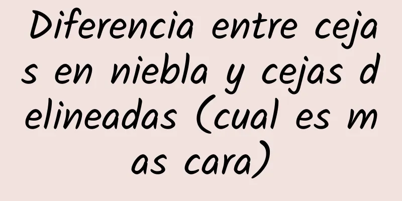 Diferencia entre cejas en niebla y cejas delineadas (cual es mas cara)