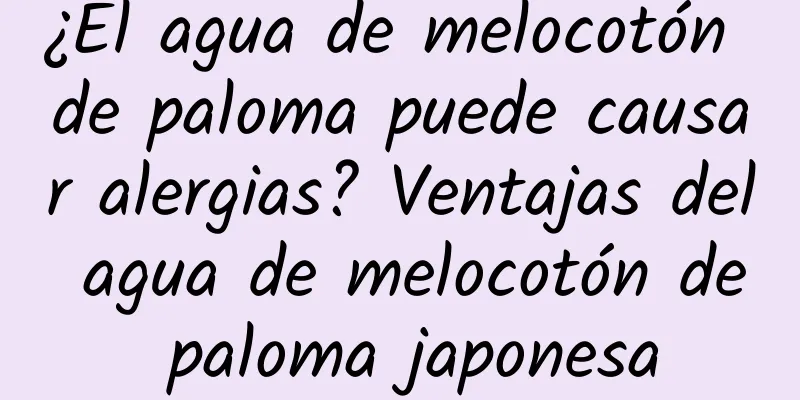 ¿El agua de melocotón de paloma puede causar alergias? Ventajas del agua de melocotón de paloma japonesa