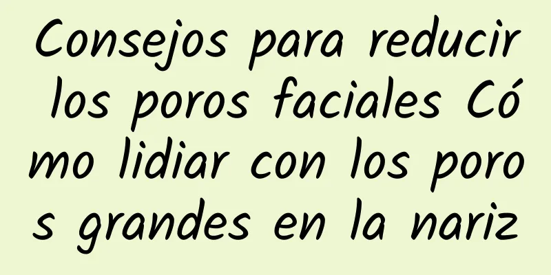 Consejos para reducir los poros faciales Cómo lidiar con los poros grandes en la nariz