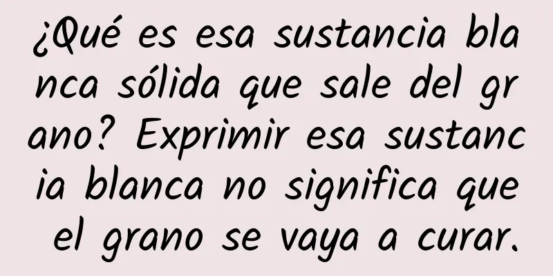 ¿Qué es esa sustancia blanca sólida que sale del grano? Exprimir esa sustancia blanca no significa que el grano se vaya a curar.