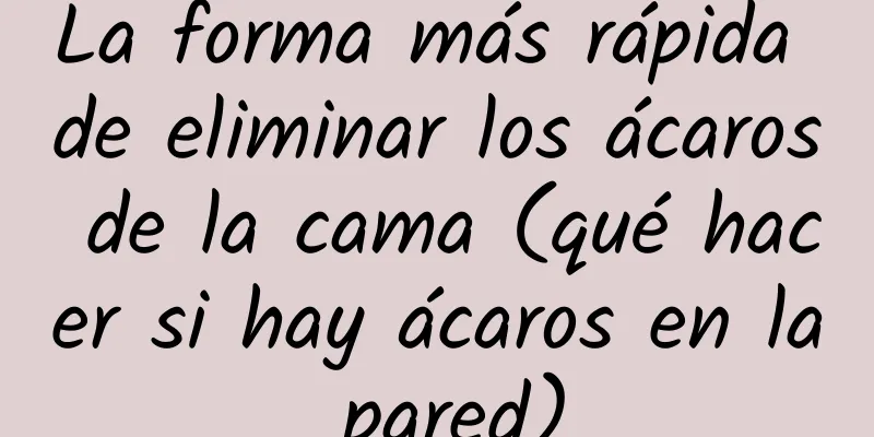 La forma más rápida de eliminar los ácaros de la cama (qué hacer si hay ácaros en la pared)