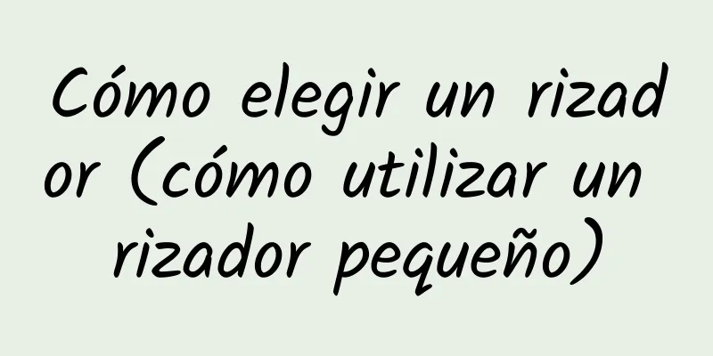 Cómo elegir un rizador (cómo utilizar un rizador pequeño)