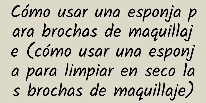 Cómo usar una esponja para brochas de maquillaje (cómo usar una esponja para limpiar en seco las brochas de maquillaje)