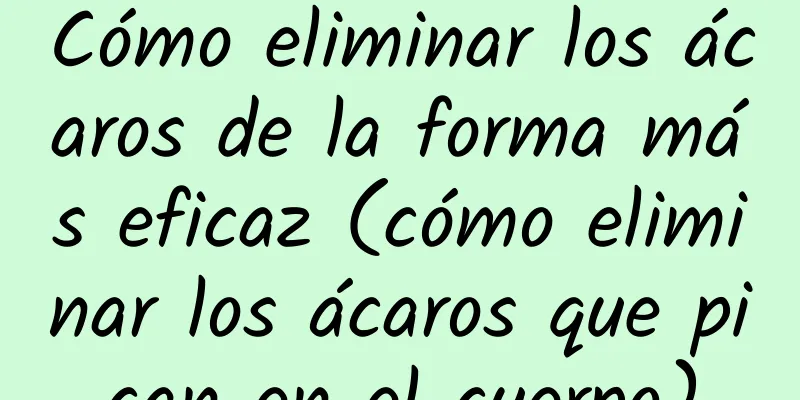 Cómo eliminar los ácaros de la forma más eficaz (cómo eliminar los ácaros que pican en el cuerpo)