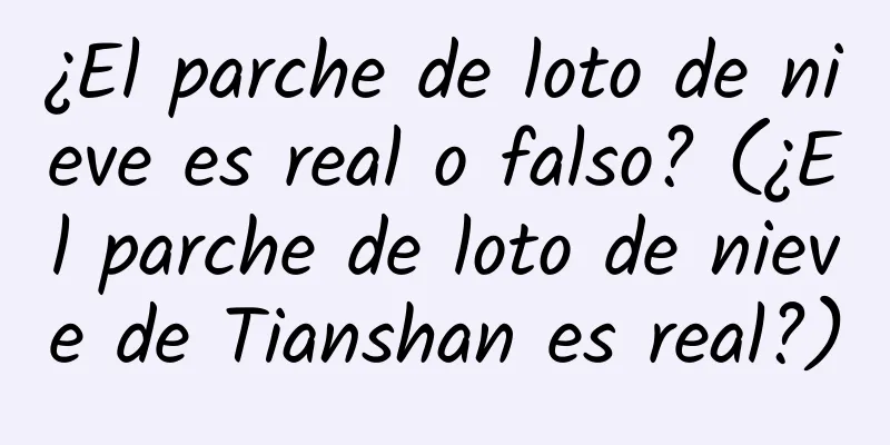 ¿El parche de loto de nieve es real o falso? (¿El parche de loto de nieve de Tianshan es real?)