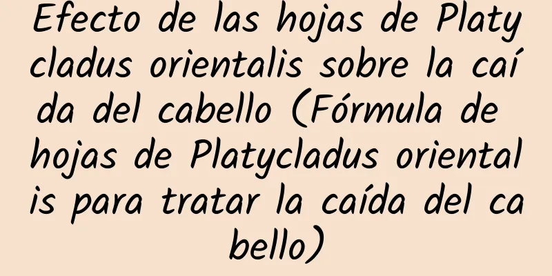 Efecto de las hojas de Platycladus orientalis sobre la caída del cabello (Fórmula de hojas de Platycladus orientalis para tratar la caída del cabello)