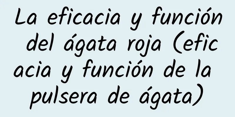 La eficacia y función del ágata roja (eficacia y función de la pulsera de ágata)