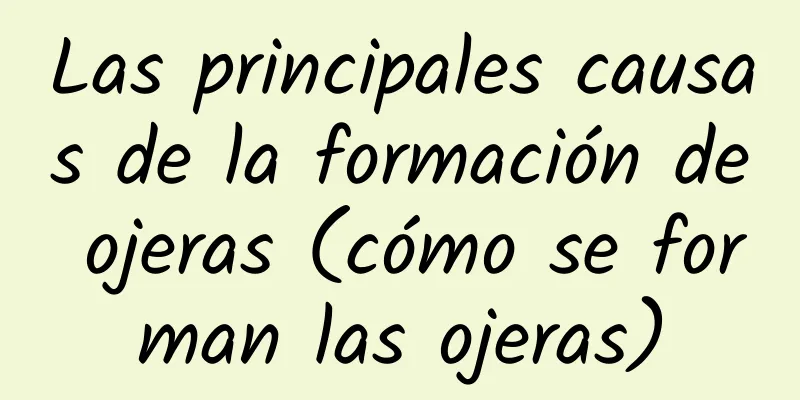 Las principales causas de la formación de ojeras (cómo se forman las ojeras)