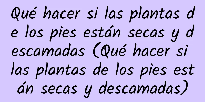 Qué hacer si las plantas de los pies están secas y descamadas (Qué hacer si las plantas de los pies están secas y descamadas)