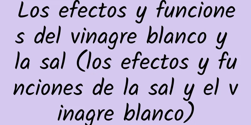 Los efectos y funciones del vinagre blanco y la sal (los efectos y funciones de la sal y el vinagre blanco)