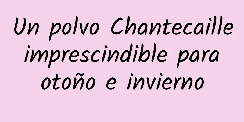 Un polvo Chantecaille imprescindible para otoño e invierno