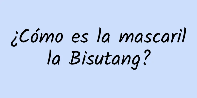 ¿Cómo es la mascarilla Bisutang?