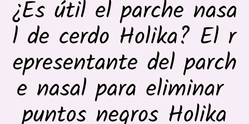 ¿Es útil el parche nasal de cerdo Holika? El representante del parche nasal para eliminar puntos negros Holika