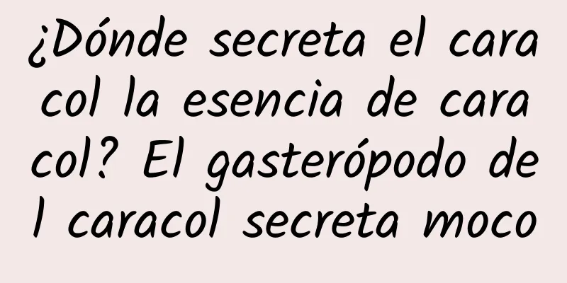 ¿Dónde secreta el caracol la esencia de caracol? El gasterópodo del caracol secreta moco