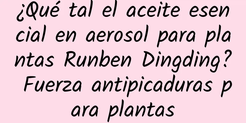 ¿Qué tal el aceite esencial en aerosol para plantas Runben Dingding? Fuerza antipicaduras para plantas