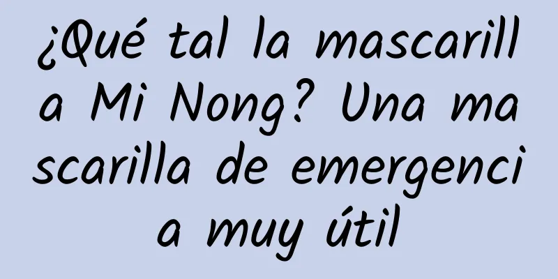 ¿Qué tal la mascarilla Mi Nong? Una mascarilla de emergencia muy útil