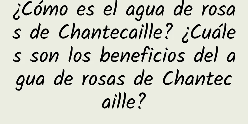 ¿Cómo es el agua de rosas de Chantecaille? ¿Cuáles son los beneficios del agua de rosas de Chantecaille?