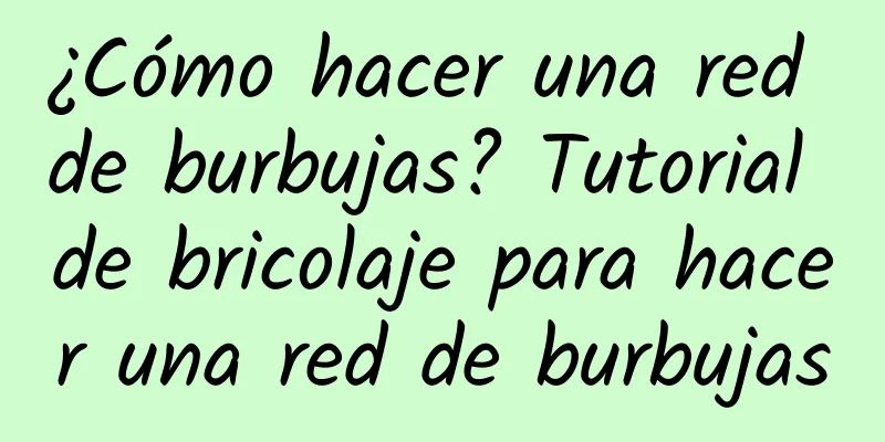 ¿Cómo hacer una red de burbujas? Tutorial de bricolaje para hacer una red de burbujas