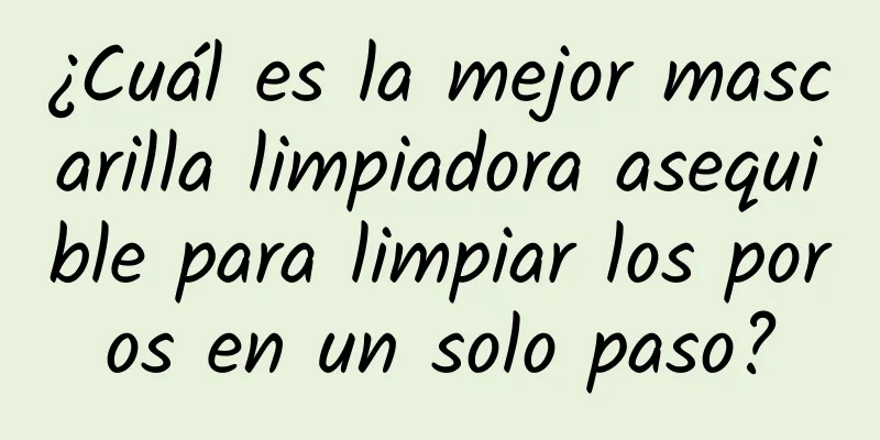 ¿Cuál es la mejor mascarilla limpiadora asequible para limpiar los poros en un solo paso?
