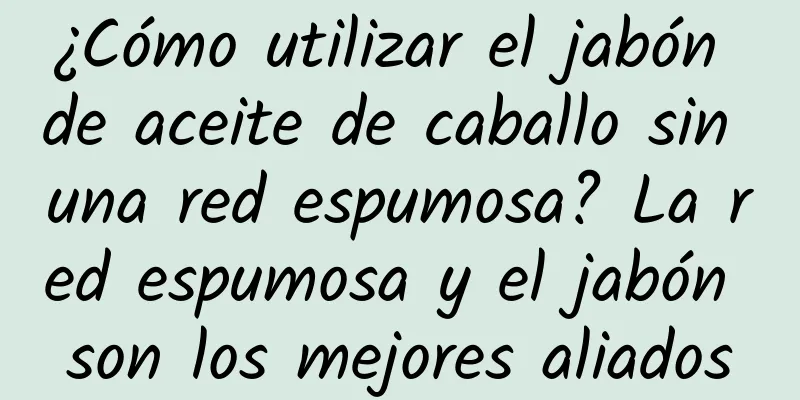 ¿Cómo utilizar el jabón de aceite de caballo sin una red espumosa? La red espumosa y el jabón son los mejores aliados