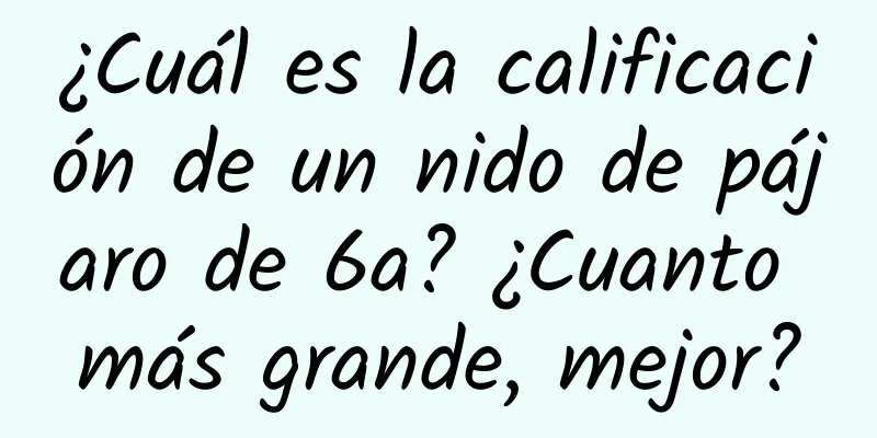 ¿Cuál es la calificación de un nido de pájaro de 6a? ¿Cuanto más grande, mejor?