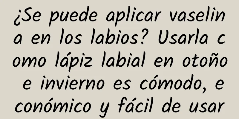 ¿Se puede aplicar vaselina en los labios? Usarla como lápiz labial en otoño e invierno es cómodo, económico y fácil de usar