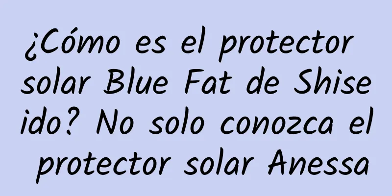 ¿Cómo es el protector solar Blue Fat de Shiseido? No solo conozca el protector solar Anessa