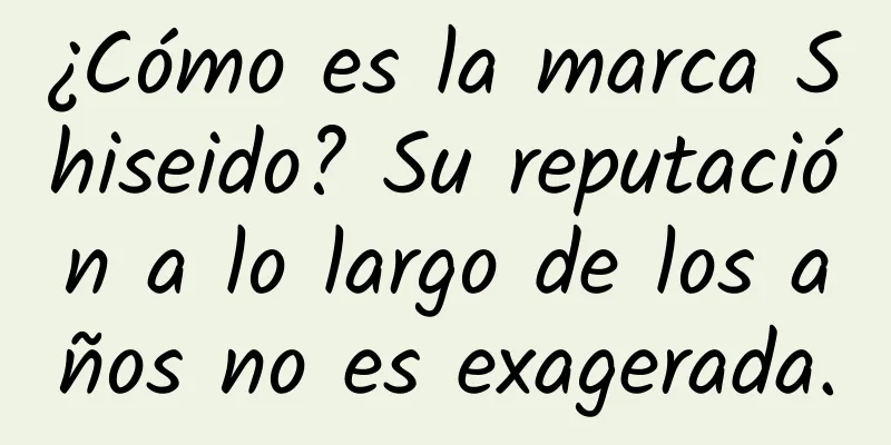 ¿Cómo es la marca Shiseido? Su reputación a lo largo de los años no es exagerada.