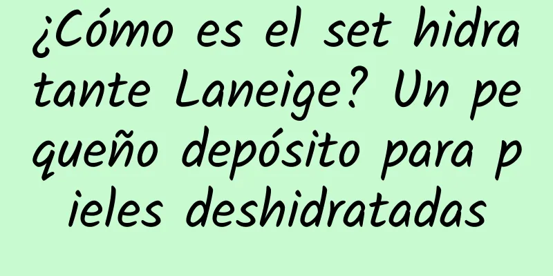 ¿Cómo es el set hidratante Laneige? Un pequeño depósito para pieles deshidratadas