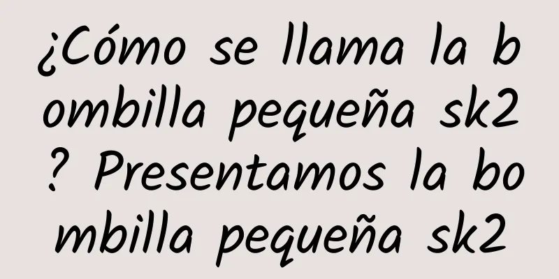 ¿Cómo se llama la bombilla pequeña sk2? Presentamos la bombilla pequeña sk2