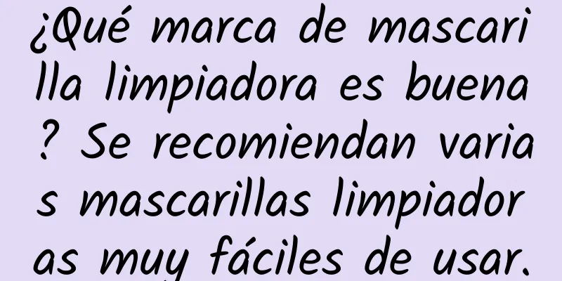 ¿Qué marca de mascarilla limpiadora es buena? Se recomiendan varias mascarillas limpiadoras muy fáciles de usar.