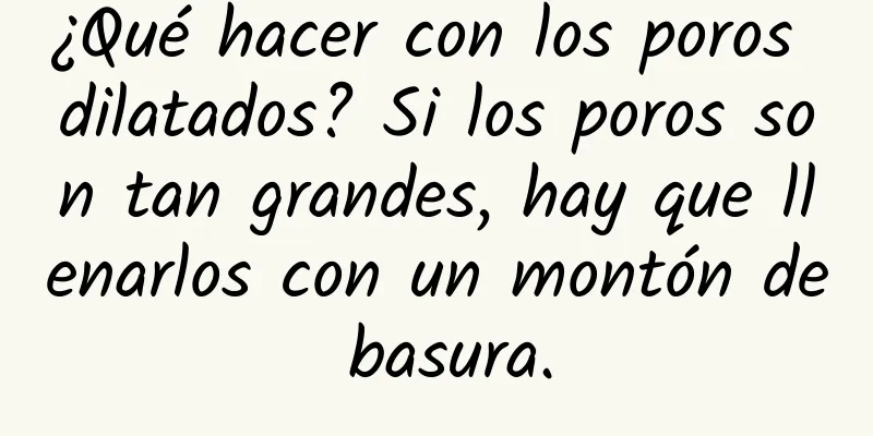 ¿Qué hacer con los poros dilatados? Si los poros son tan grandes, hay que llenarlos con un montón de basura.