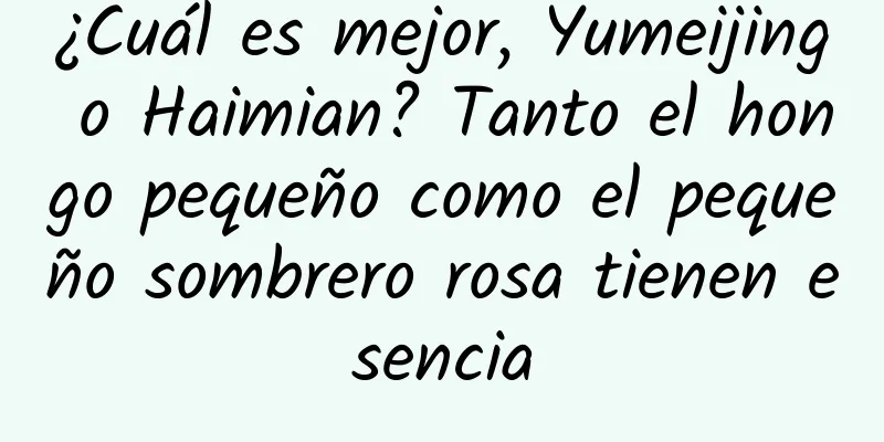 ¿Cuál es mejor, Yumeijing o Haimian? Tanto el hongo pequeño como el pequeño sombrero rosa tienen esencia